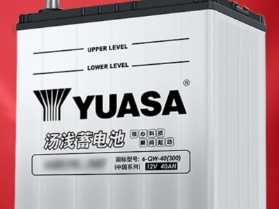 汤浅(Yuasa)汽车电瓶少维护蓄电池55